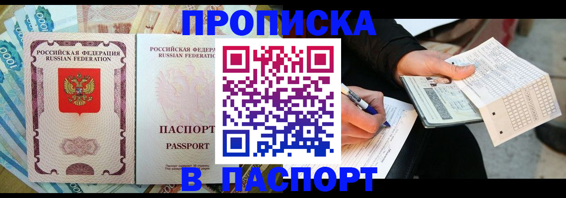 прописка поиск в Камышине